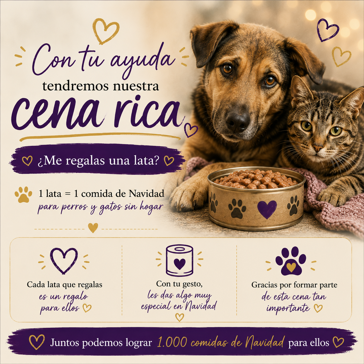 Mi cumpleaños solidario 2026 - Imagen 5