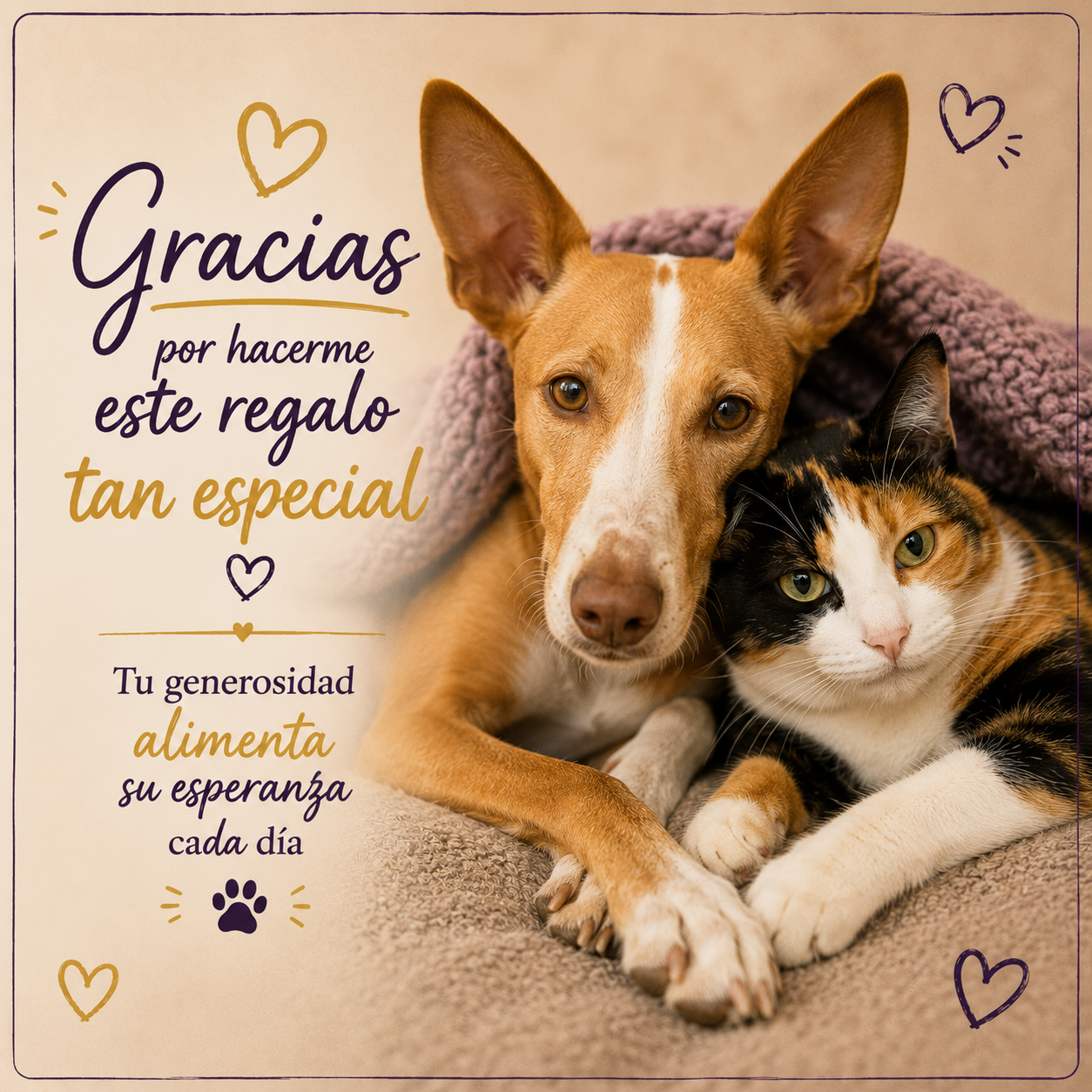 Mi cumpleaños solidario 2026 - Imagen 4