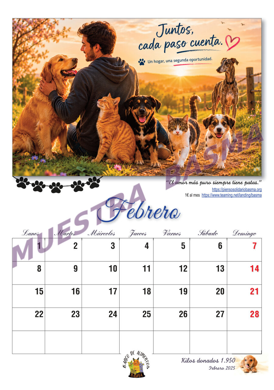 Calendario Solidario BASMA 2027 – Navidad para más de 6.000 animales sin hogar sin hogar - Imagen 4