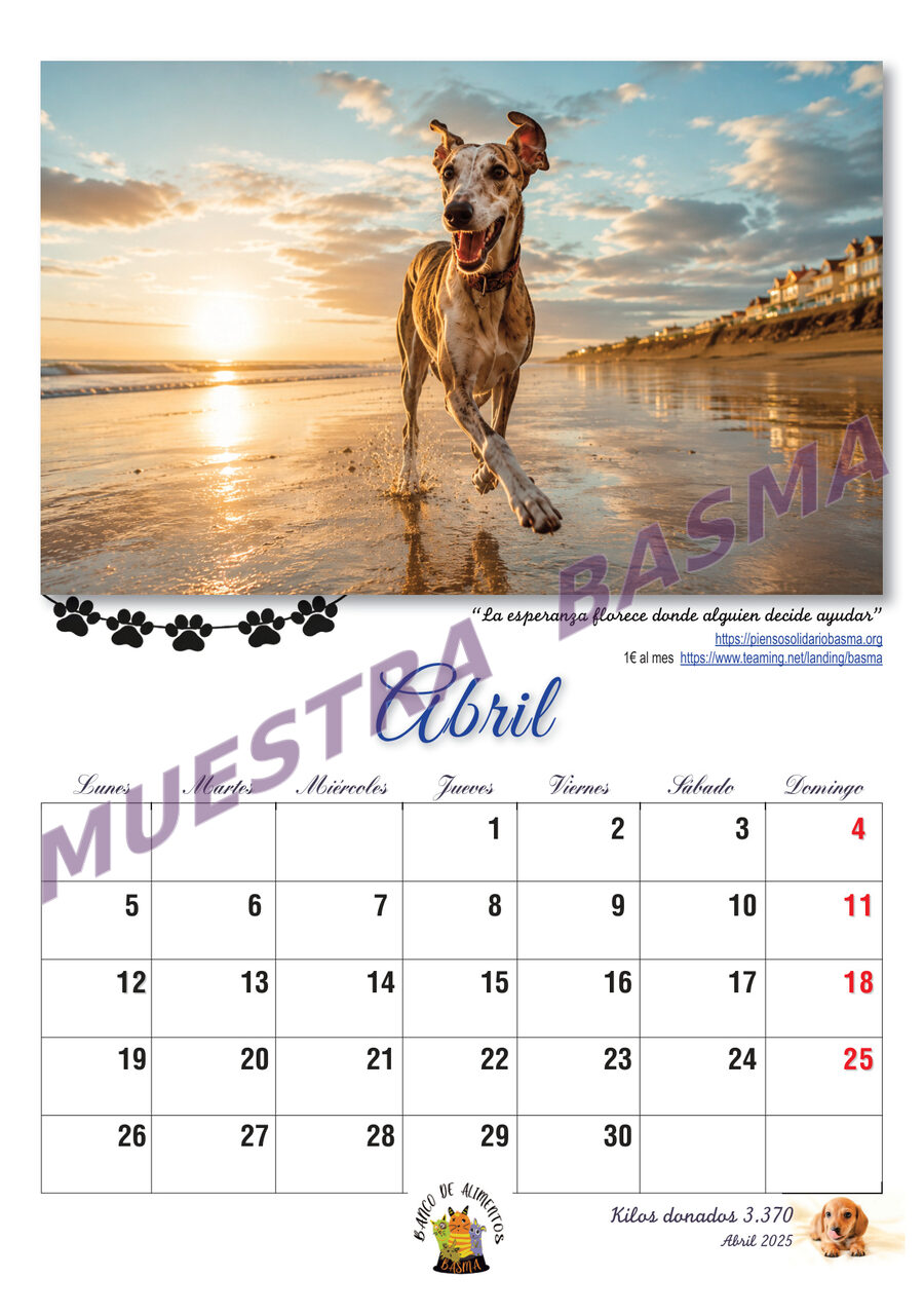 Calendario Solidario BASMA 2027 – Navidad para más de 6.000 animales sin hogar sin hogar - Imagen 6