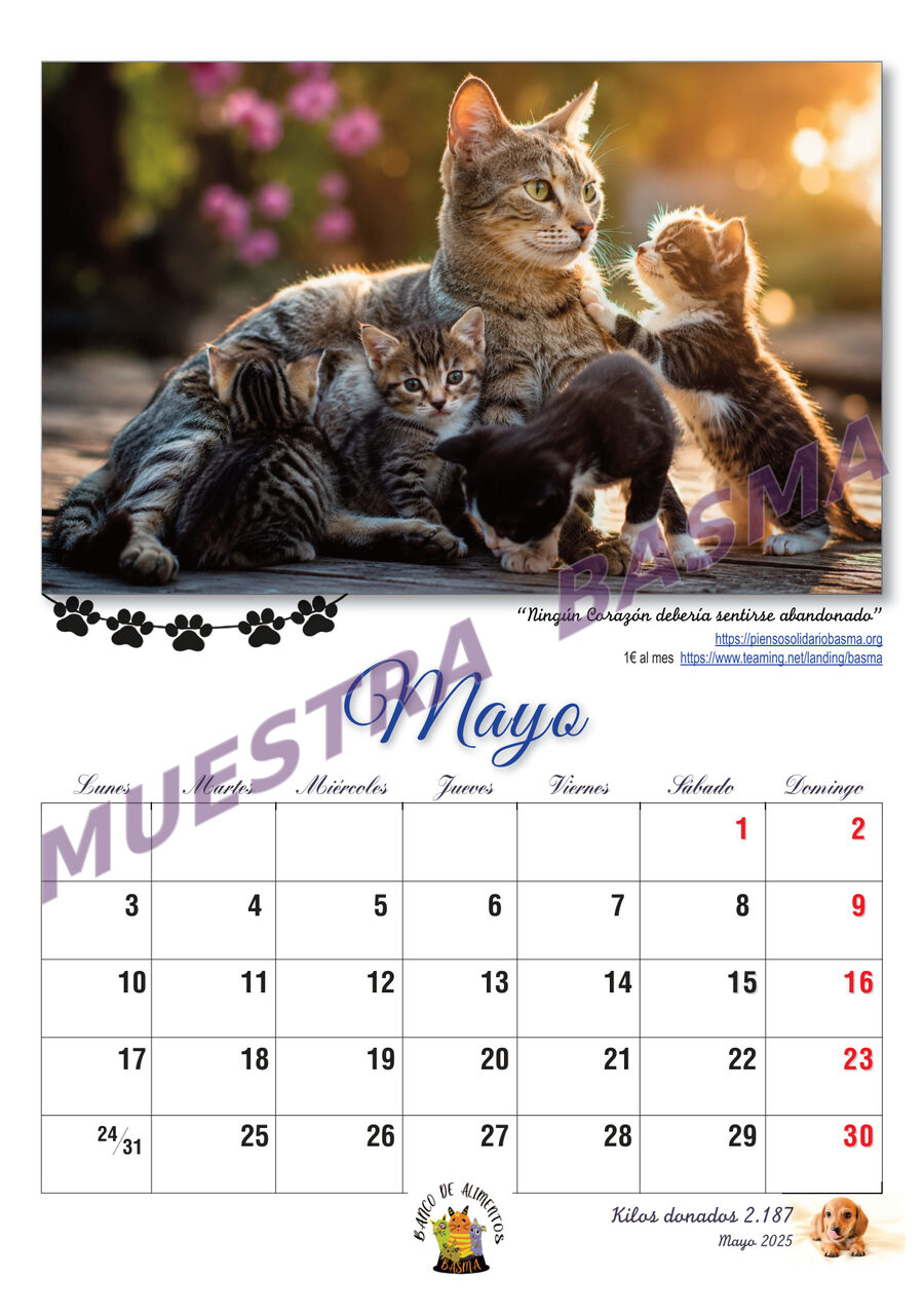 Calendario Solidario BASMA 2027 – Navidad para más de 6.000 animales sin hogar sin hogar - Imagen 7
