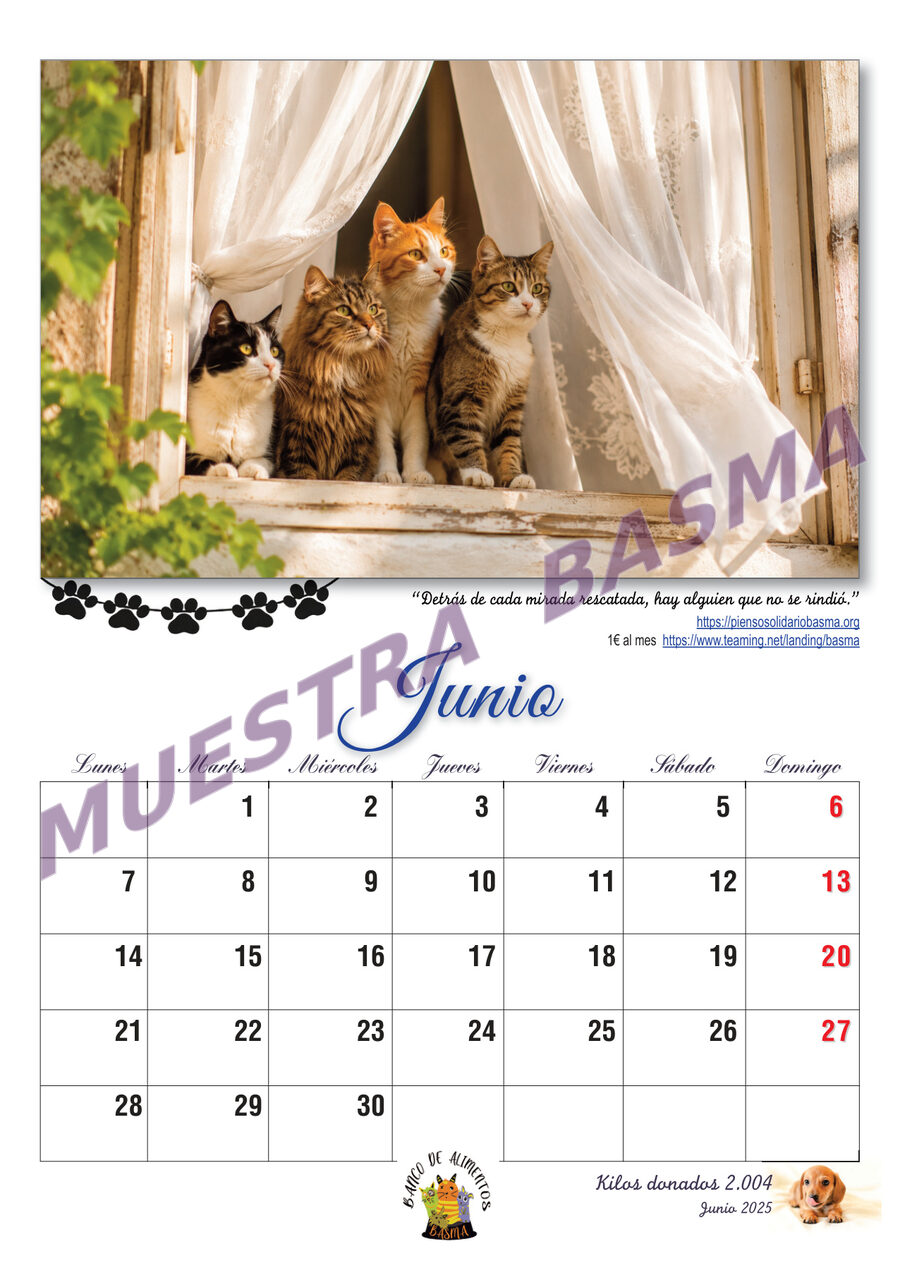 Calendario Solidario BASMA 2027 – Navidad para más de 6.000 animales sin hogar sin hogar - Imagen 8
