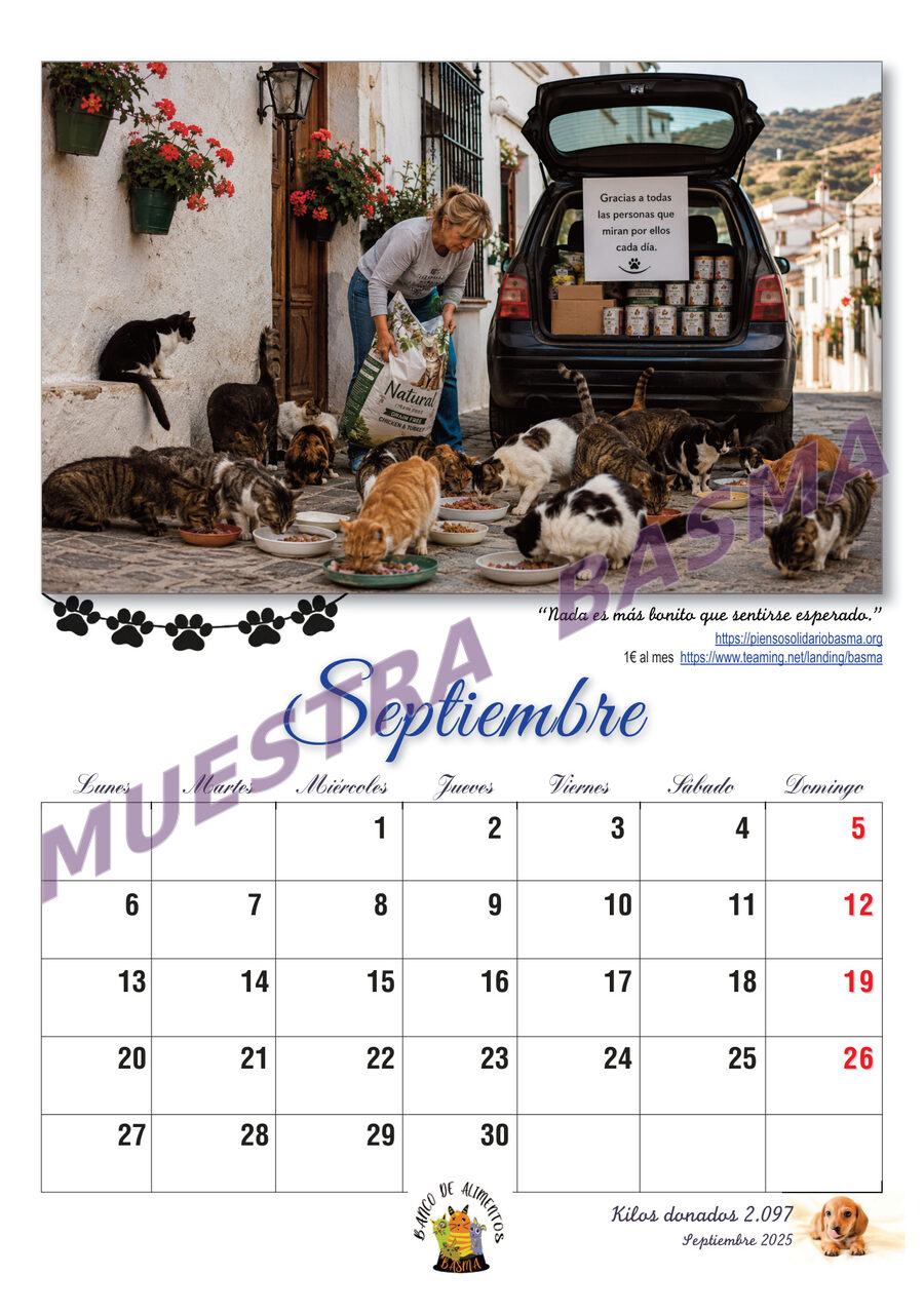 Calendario Solidario BASMA 2027 – Navidad para más de 6.000 animales sin hogar sin hogar - Imagen 11