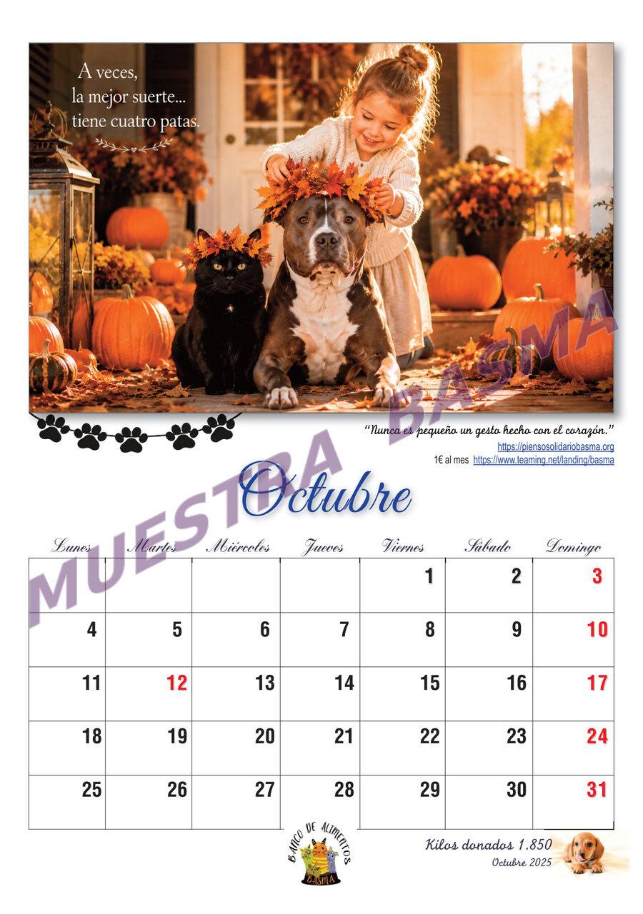 Calendario Solidario BASMA 2027 – Navidad para más de 6.000 animales sin hogar sin hogar - Imagen 12