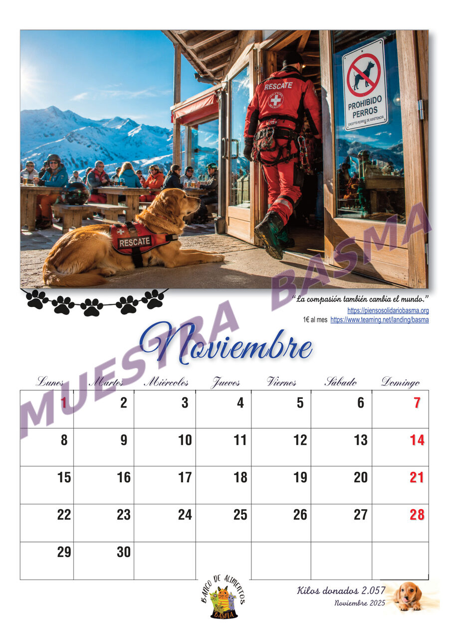 Calendario Solidario BASMA 2027 – Navidad para más de 6.000 animales sin hogar sin hogar - Imagen 13